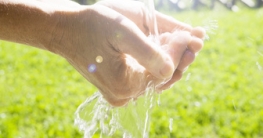 Kalkfreies Wasser für die Gartenbewässerung